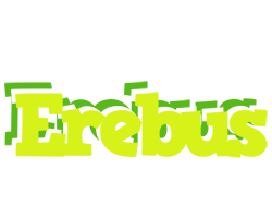 Erebus citrus logo