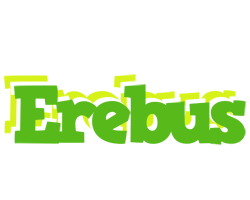 Erebus picnic logo