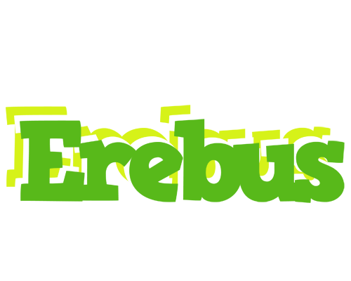 Erebus picnic logo