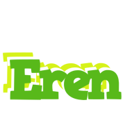 Eren picnic logo