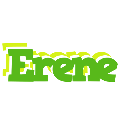 Erene picnic logo