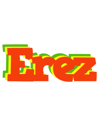 Erez bbq logo