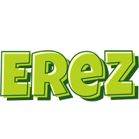 Erez summer logo