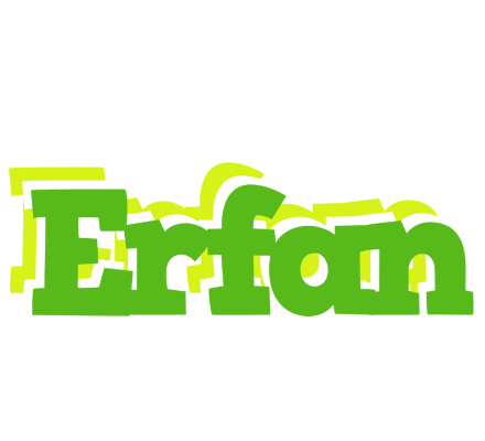 Erfan picnic logo