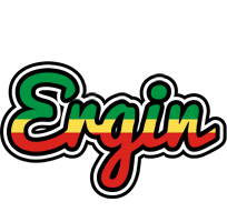 Ergin african logo