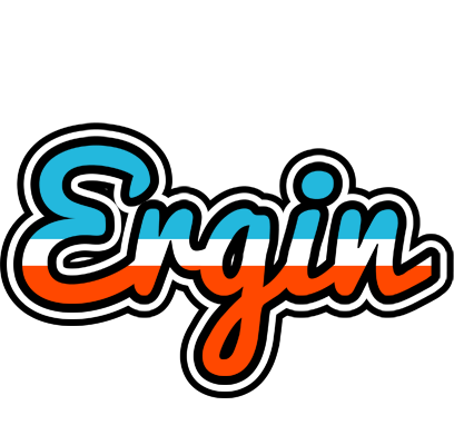 Ergin america logo