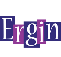 Ergin autumn logo