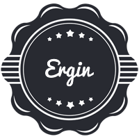 Ergin badge logo