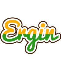 Ergin banana logo