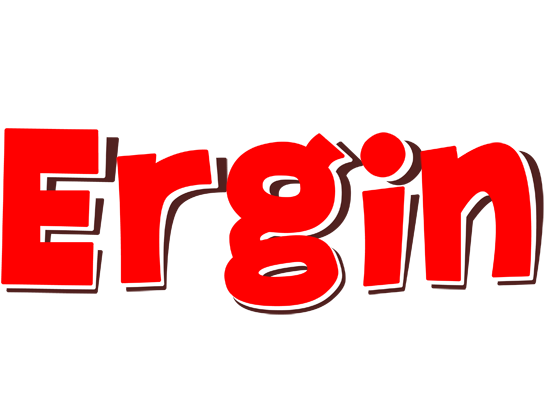 Ergin basket logo