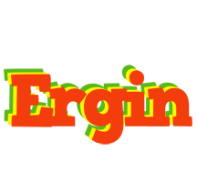 Ergin bbq logo