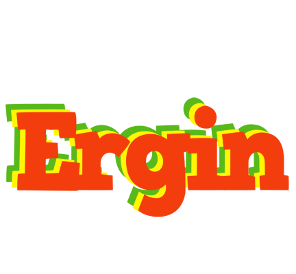 Ergin bbq logo