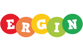 Ergin boogie logo