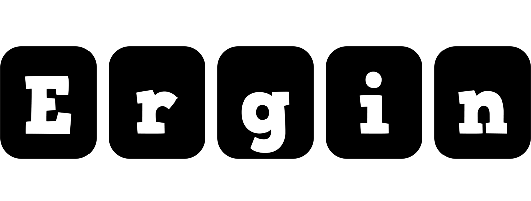 Ergin box logo