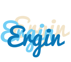 Ergin breeze logo