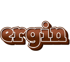 Ergin brownie logo