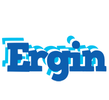 Ergin business logo