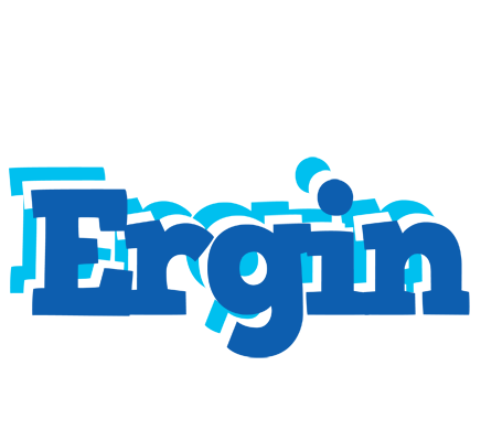 Ergin business logo