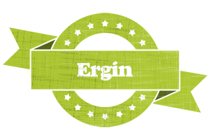 Ergin change logo