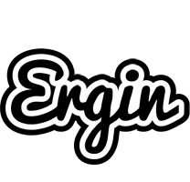 Ergin chess logo