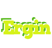 Ergin citrus logo