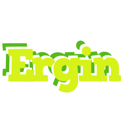 Ergin citrus logo