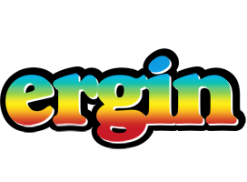 Ergin color logo