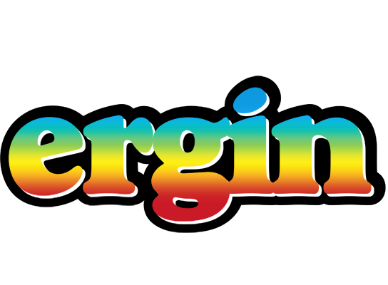 Ergin color logo