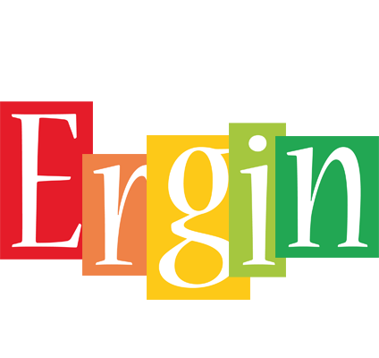Ergin colors logo