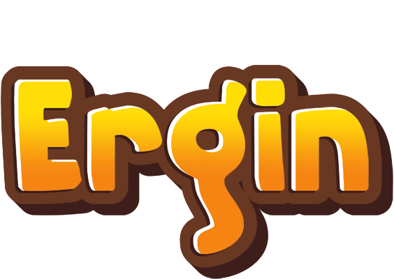 Ergin cookies logo