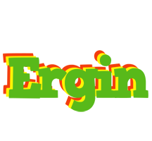 Ergin crocodile logo