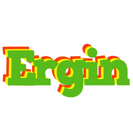 Ergin crocodile logo