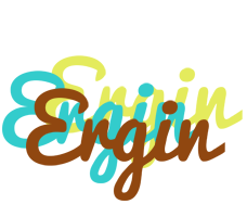 Ergin cupcake logo