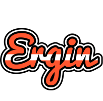 Ergin denmark logo