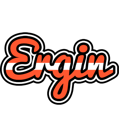 Ergin denmark logo