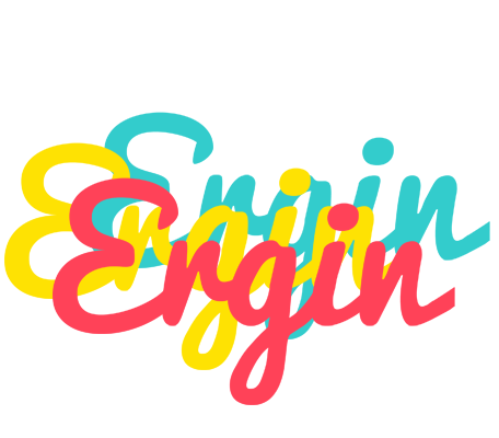 Ergin disco logo