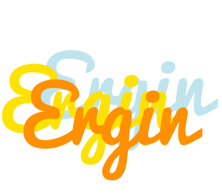 Ergin energy logo