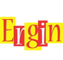 Ergin errors logo