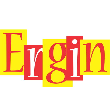 Ergin errors logo