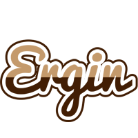 Ergin exclusive logo