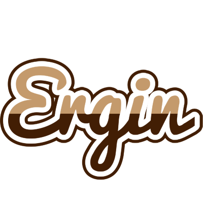 Ergin exclusive logo