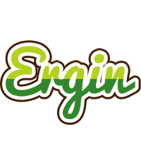 Ergin golfing logo