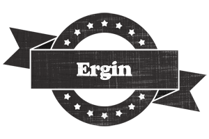 Ergin grunge logo