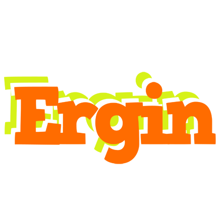 Ergin healthy logo