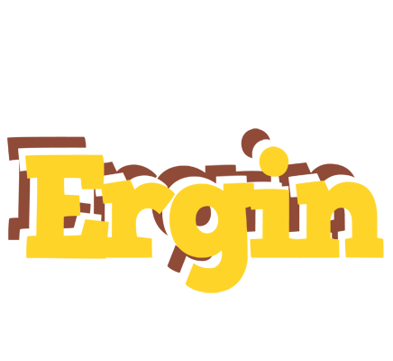 Ergin hotcup logo