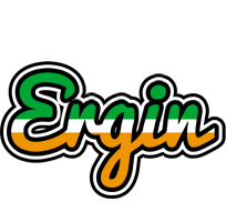 Ergin ireland logo