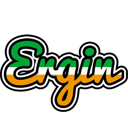 Ergin ireland logo