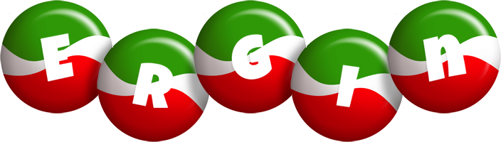 Ergin italy logo