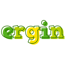 Ergin juice logo