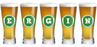 Ergin lager logo